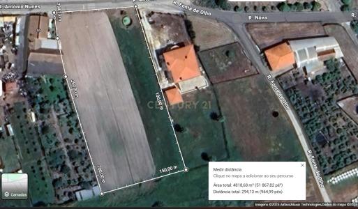 Vagos, Aveiro 3840-571, Portugal