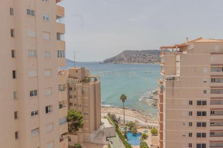 Alacant/Alicante, Comunitat Valenciana 03710, Spain