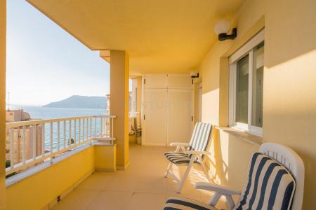 Alacant/Alicante, Comunitat Valenciana 03710, 西班牙