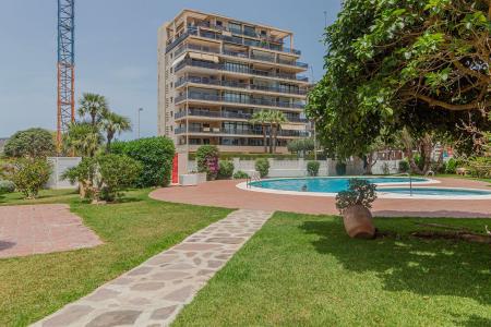 Alacant/Alicante, Comunitat Valenciana 03710, 西班牙