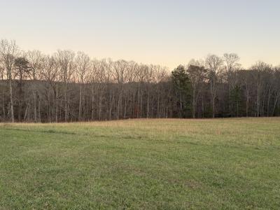 5146 Griffith Road, Pikeville, 田納西州 37367, 美國