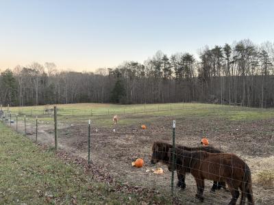 5146 Griffith Road, Pikeville, 田納西州 37367, 美國