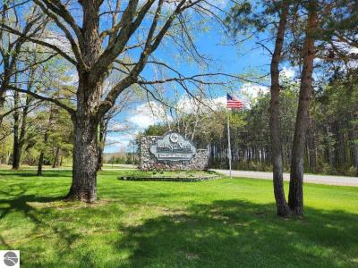 5165 Snowridge Trail, Elmira, Michigan 49730, USA