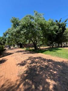 Calle San Felipe entre Ponciano Romero y Liberación , San Lorenzo, Trung Ương 00001, Paraguay