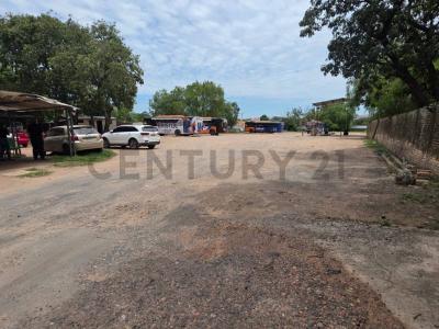 Pizarro, Asuncion 001303 , Republicano, Asunción 00001, Paraguay