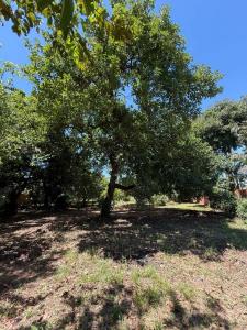 Grito de Asencio , Zeballos Cué, Asunción 2060, Paraguay