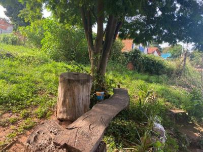 Caacupé, Cordillera 00001, Paraguay