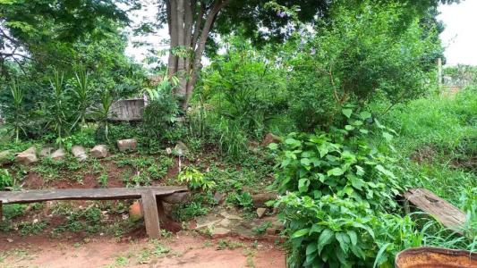 Caacupé, Cordillera 00001, Парагвай