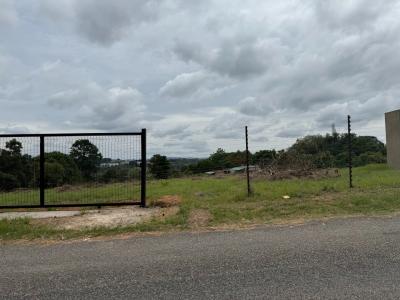 White River, 음봄벨라, 남아프리카