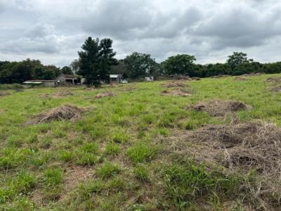 White River, 음봄벨라, 남아프리카