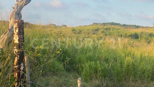 Carretera Costera del Golfo s/n,, Alvarado, 韦拉克鲁斯 95259, 墨西哥