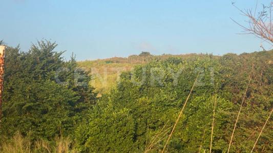 Carretera Costera del Golfo s/n,, Alvarado, 韦拉克鲁斯 95259, 墨西哥