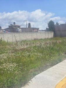 Calimaya, Estado De México 52230, Mexiko