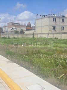 Calimaya, Estado De México 52230, Mexiko