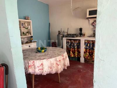 Del Potrero 12,, Ayala, Morelos 62701, México