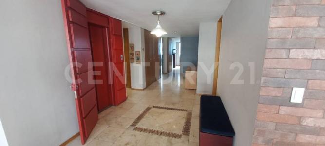 Monte Chimborazo 560,, Miguel Hidalgo, Ciudad De México 11000, México