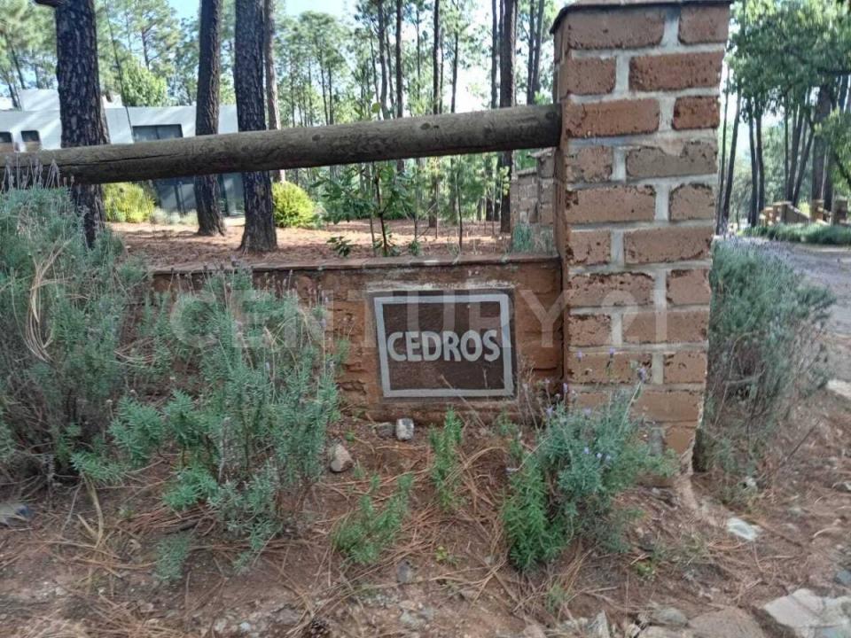 Av. Camino del Bosque Km 5 1/2 11,, Tapalpa, Jalisco 49340, Mexiko