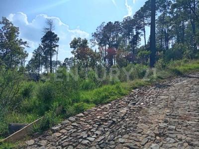 Av. Camino del Bosque Km 5 1/2 11,, Tapalpa, Jalisco 49340, Mexiko