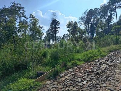 Av. Camino del Bosque Km 5 1/2 11,, Tapalpa, Jalisco 49340, Mexiko