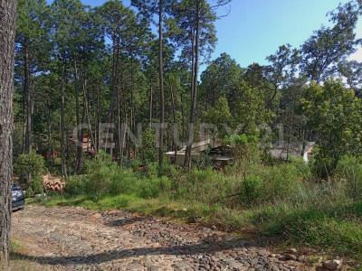 Av. Camino del Bosque Km 5 1/2 11,, Tapalpa, Jalisco 49340, Mexiko