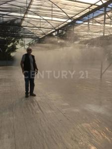 Conkal, Yucatan 97345, Mexique