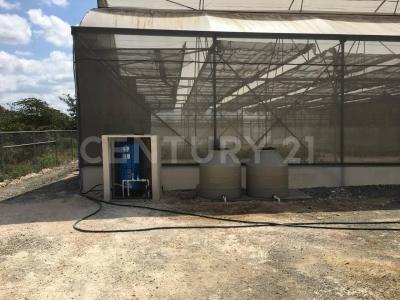 Conkal, Yucatan 97345, Mexique