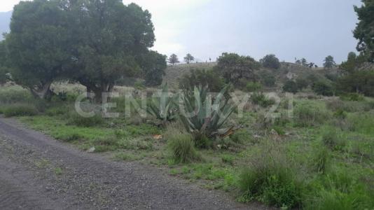 Tlachichuca, Puebla 75052, México