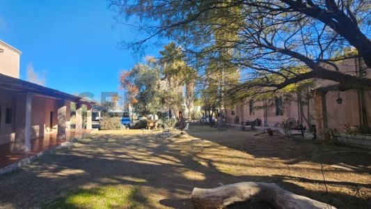 General San Martín, Mendoza 5570, Argentine