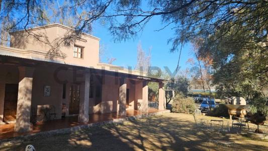 General San Martín, Mendoza 5570, Argentine