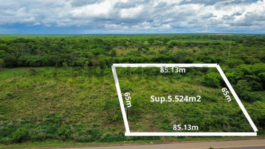 SAN IGNACIO DE VELASCO , Oeste, Santa Cruz 00001, Bolivia