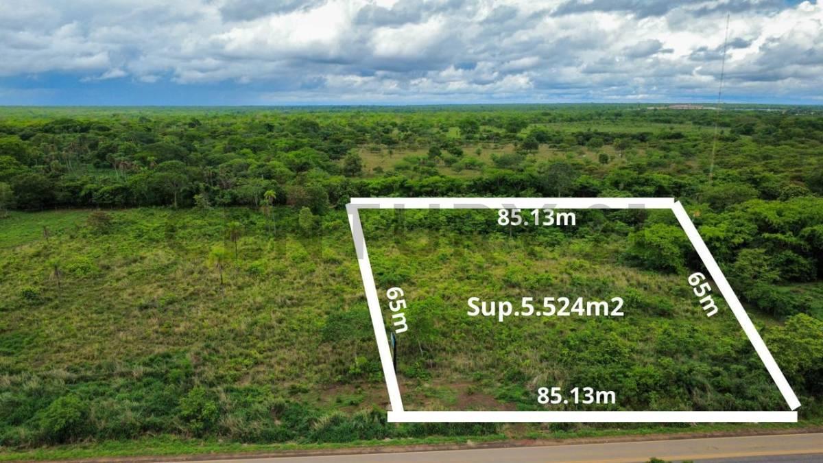 SAN IGNACIO DE VELASCO , Oeste, Santa Cruz 00001, 玻利维亚