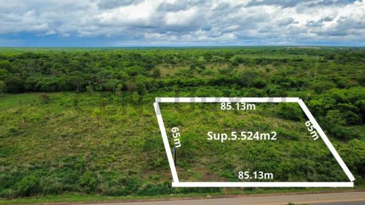 SAN IGNACIO DE VELASCO , Oeste, Santa Cruz 00001, 玻利维亚