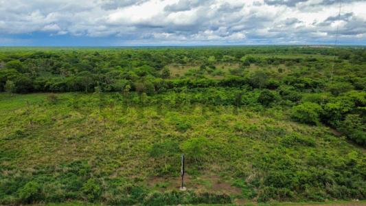 SAN IGNACIO DE VELASCO , Oeste, Santa Cruz 00001, 玻利维亚