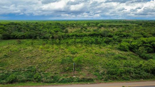 SAN IGNACIO DE VELASCO , Oeste, Santa Cruz 00001, 玻利维亚