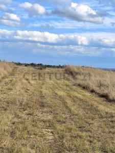 Cond. Portones del Urubo , Urubo, Santa Cruz 00001, بوليفيا