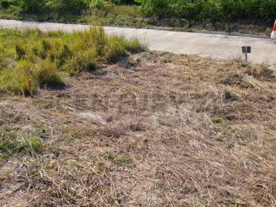 Cond. Portones del Urubo , Urubo, Santa Cruz 00001, Bolivia