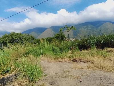 Caracas, Miranda 00001, Venezuela