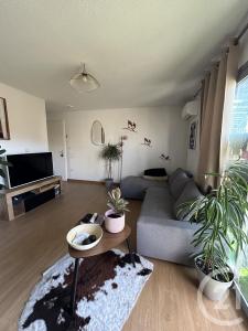 Toulouse, 比利牛斯 31200, 法國