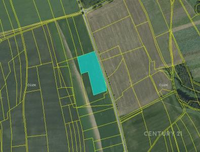 Otinoves, Prostějov, Çek Cumhuriyeti