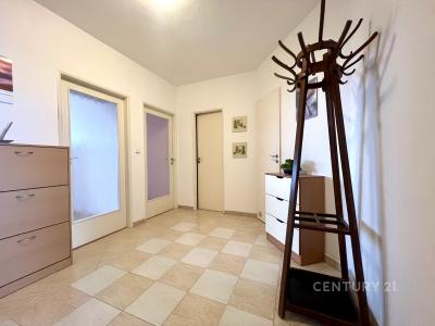 Prokopa Holého, Znojmo, Znojmo 66902, República Checa