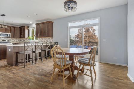 1157 Clearwater Dr, Pingree Grove, 伊利諾州 60140, 美國