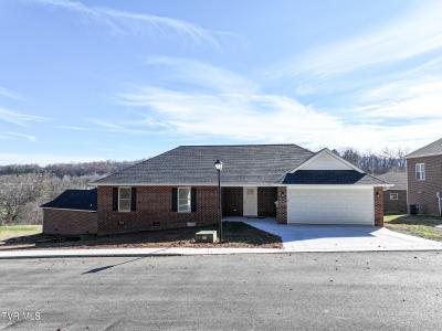 124 Keeneland Circle, Greeneville, Tennessee 37743, USA