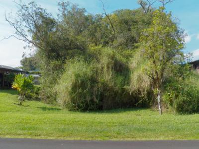 Lot 126, Kolika Rd, Mountain View, Hawaii 96771, USA