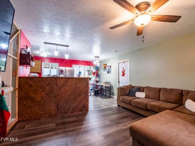 117 Hidden Valley Drive, Rogersville, Tennessee 37857, Stati Uniti