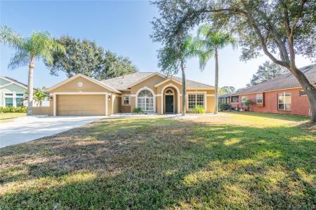 9404 Ayleshire Place, Riverview, فلوريدا 33569, الولايات المتحدة