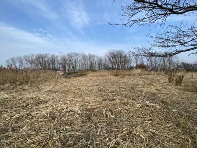 手稲前田, 手稲前田 市街化調整 土地, 札幌市手稲区, Hokkaido 006-0829, Japan