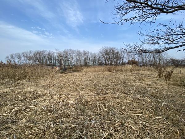 手稲前田, 手稲前田 市街化調整 土地, 札幌市手稲区, Hokkaido 006-0829, Japonya