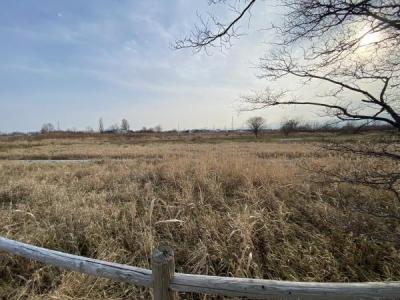 手稲前田, 手稲前田 市街化調整 土地, 札幌市手稲区, Hokkaido 006-0829, Japonya