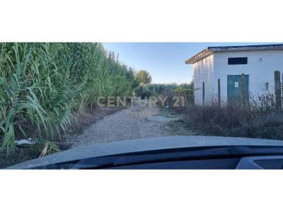 Periferia Shijak, Shijak, Albania