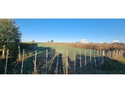 Periferia Shijak, Shijak, Albanie